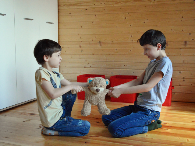 Two children pull at a teddy bear. 