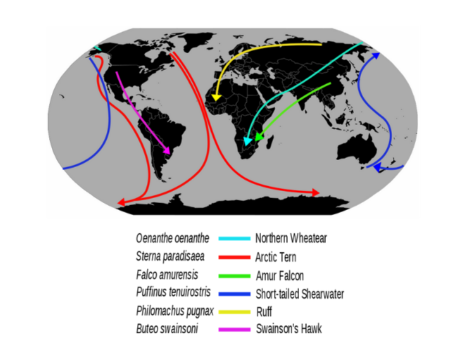 Map of the world with blue, red, magenta, yellow, teal, and green arrows pointing to different countries