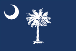 A blue flag with a white crescent moon and white palmetto tree.