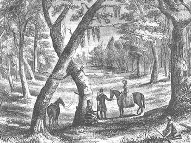 A woman on a horse and two soldiers next to a tree and horse. 