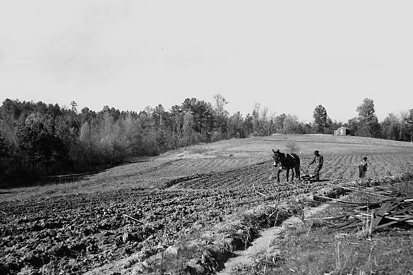 Newberry County, South Carolina. View from farm of Dan Clark, Whitmire, Route 2, South Carolina, intended to show lands too steep for cultivation that if possible should be put to other uses.